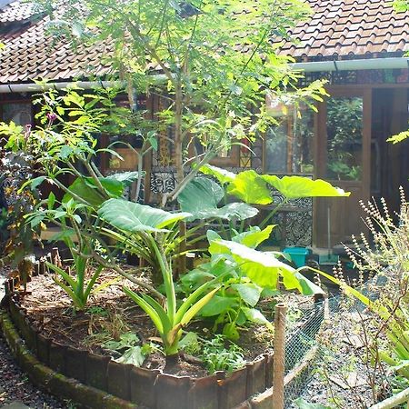 Farmer'S Yard Hostel Canggu Eksteriør bilde